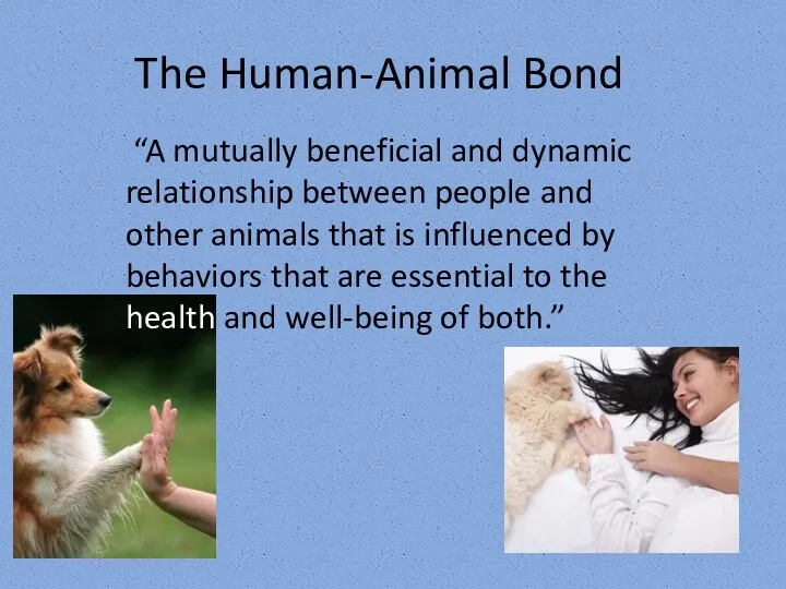 The Human-Animal Bond “A mutually beneficial and dynamic relationship between