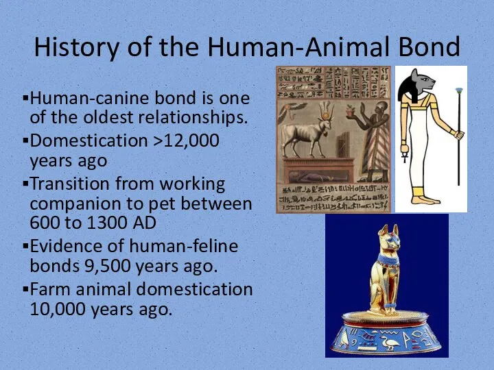 History of the Human-Animal Bond Human-canine bond is one of
