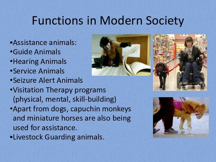 Functions in Modern Society Assistance animals: Guide Animals Hearing Animals