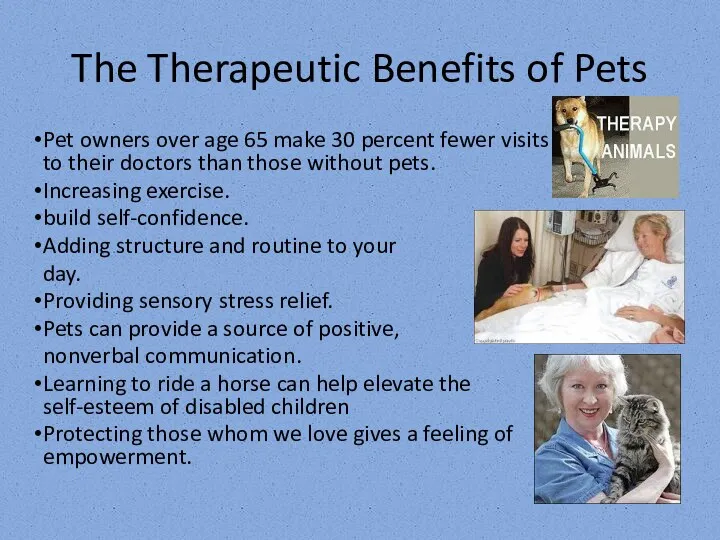 The Therapeutic Benefits of Pets Pet owners over age 65