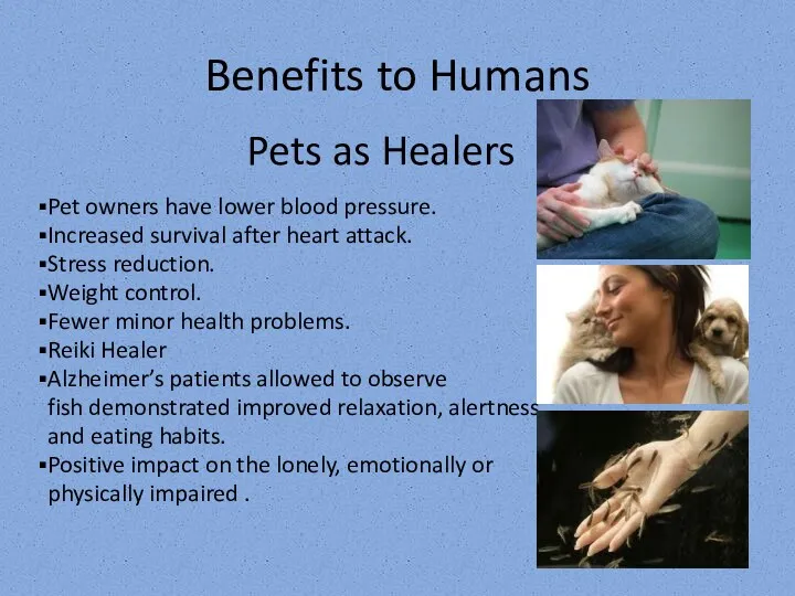 Benefits to Humans Pet owners have lower blood pressure. Increased