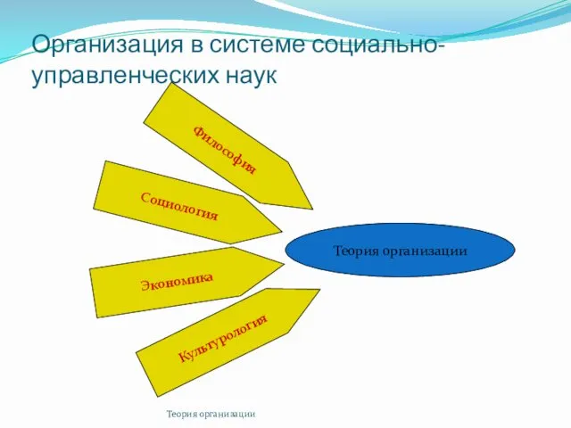 Теория организации Организация в системе социально-управленческих наук Теория организации Философия Социология Экономика Культурология