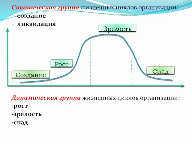 Статическая группа жизненных циклов организации: создание ликвидация Динамическая группа жизненных циклов организации: -рост -зрелость -спад