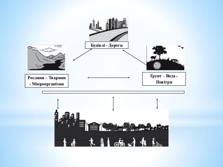 Будівлі - Дороги Рослини – Тварини - Мікроорганізми Ґрунт – Вода - Повітря