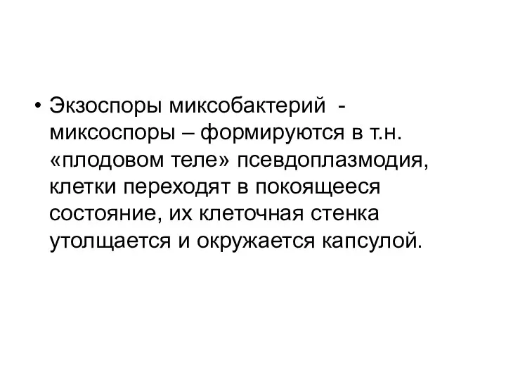 Экзоспоры миксобактерий - миксоспоры – формируются в т.н. «плодовом теле»