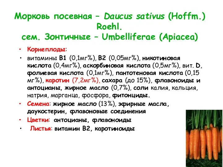 Морковь посевная – Daucus sativus (Hoffm.) Roehl. сем. Зонтичные –