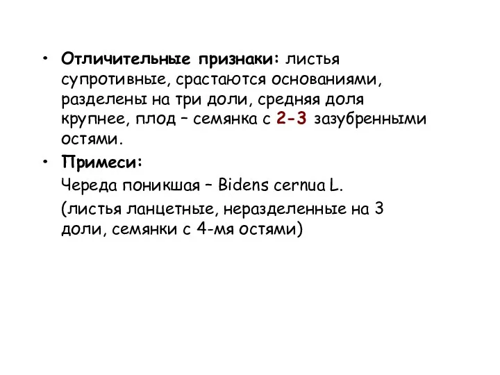 Отличительные признаки: листья супротивные, срастаются основаниями, разделены на три доли,