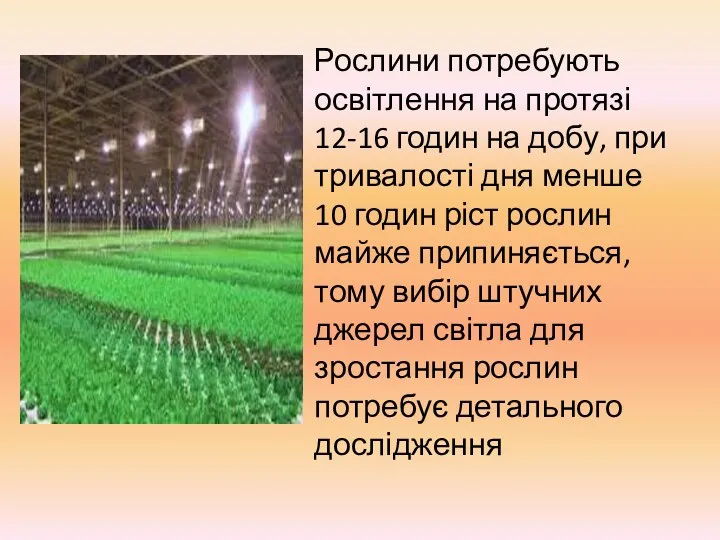 Рослини потребують освітлення на протязі 12-16 годин на добу, при