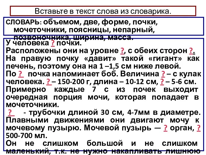 Вставьте в текст слова из словарика. У человека ? почки.