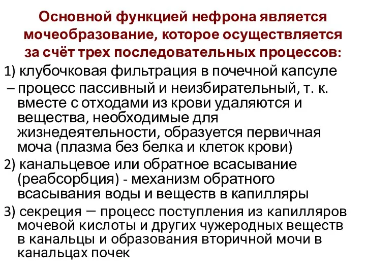 Основной функцией нефрона является мочеобразование, которое осуществляется за счёт трех