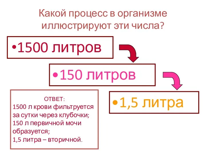 Какой процесс в организме иллюстрируют эти числа? 1500 литров 150