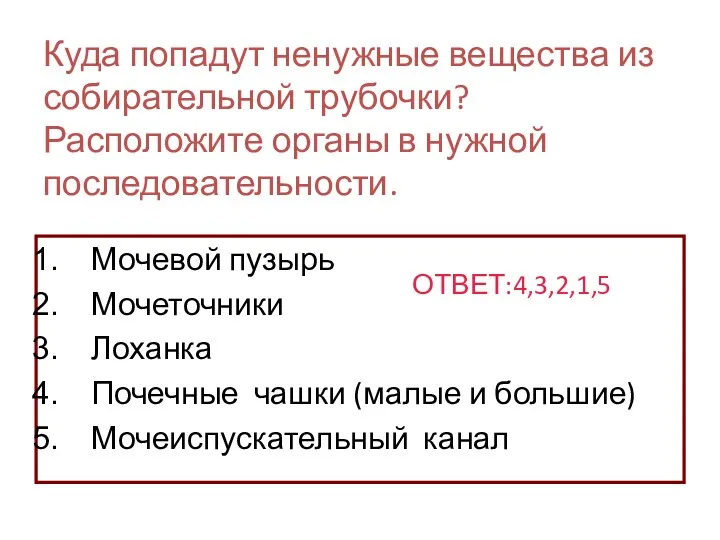 Куда попадут ненужные вещества из собирательной трубочки? Расположите органы в