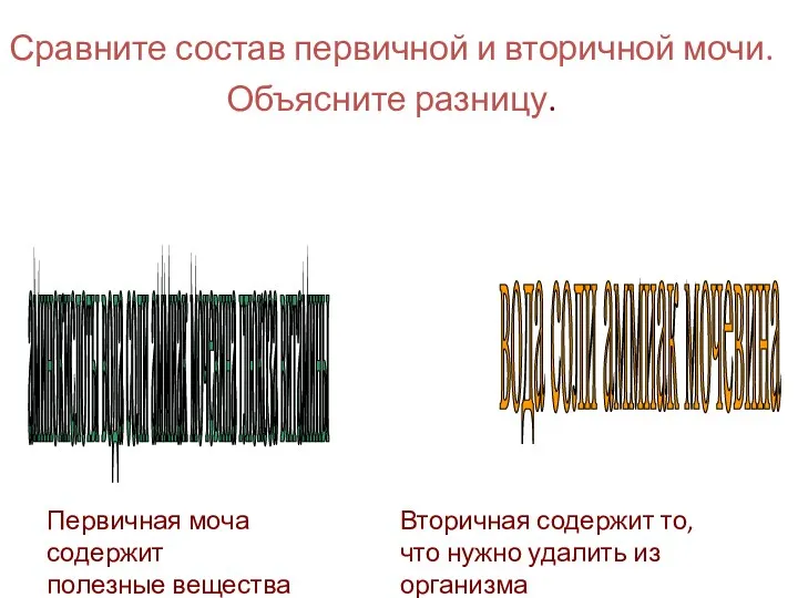 аминокислоты вода соли аммиак мочевина глюкоза витамины вода соли аммиак