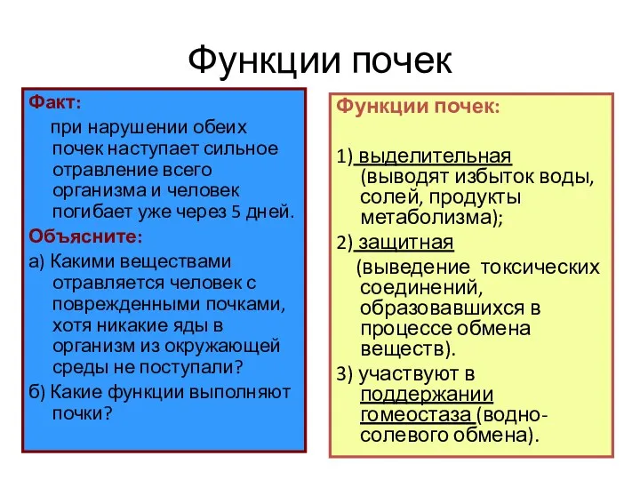 Функции почек Факт: при нарушении обеих почек наступает сильное отравление