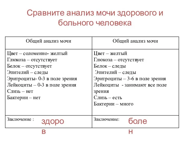 Сравните анализ мочи здорового и больного человека болен здоров