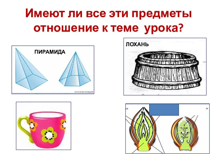 Имеют ли все эти предметы отношение к теме урока?