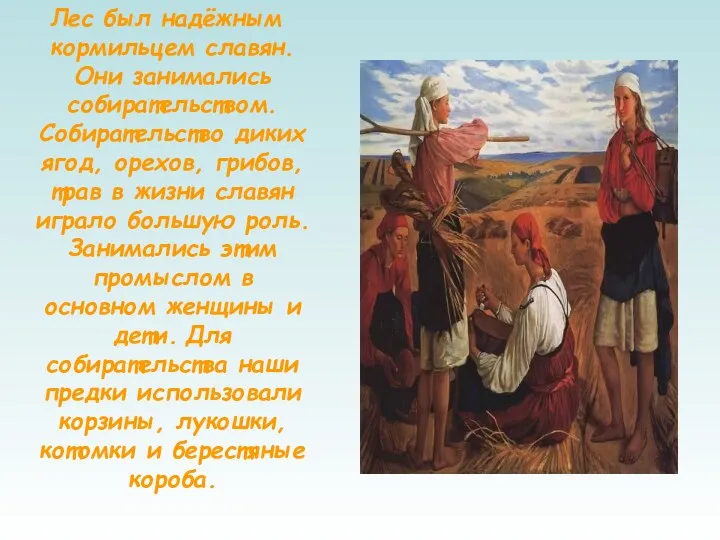 Лес был надёжным кормильцем славян. Они занимались собирательством. Собирательство диких