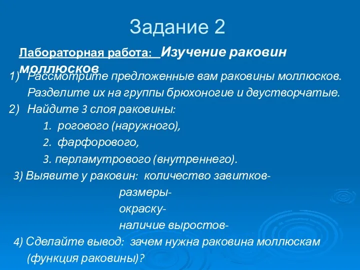 Задание 2 Лабораторная работа: Изучение раковин моллюсков Рассмотрите предложенные вам