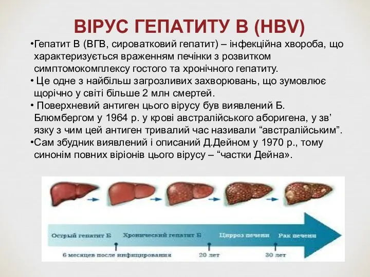 ВІРУС ГЕПАТИТУ В (HВV) Гепатит В (ВГВ, сироватковий гепатит) –