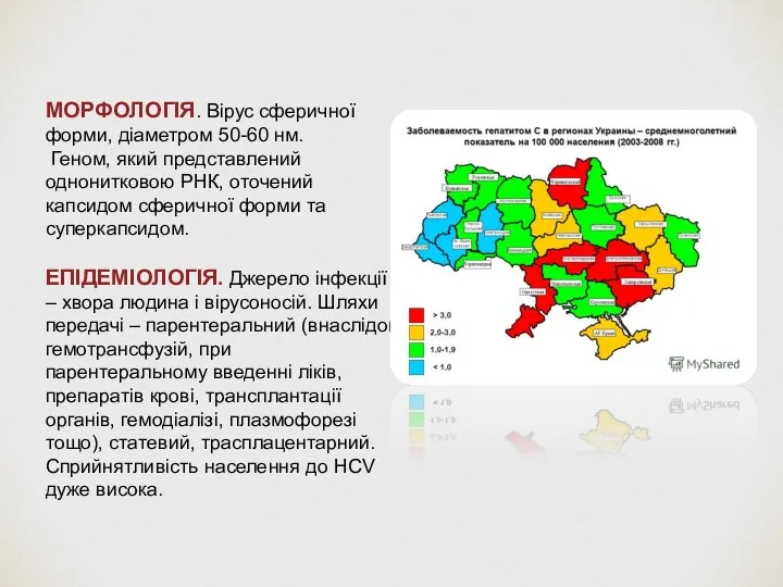 МОРФОЛОГІЯ. Вірус сферичної форми, діаметром 50-60 нм. Геном, який представлений