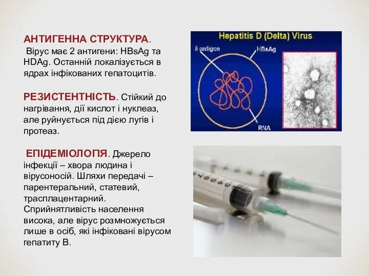 АНТИГЕННА СТРУКТУРА. Вірус має 2 антигени: HBsAg та HDАg. Останній