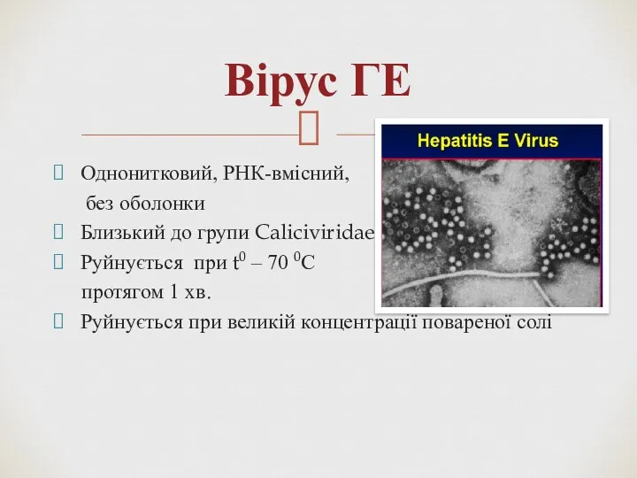 Вірус ГЕ Однонитковий, РНК-вмісний, без оболонки Близький до групи Caliciviridae