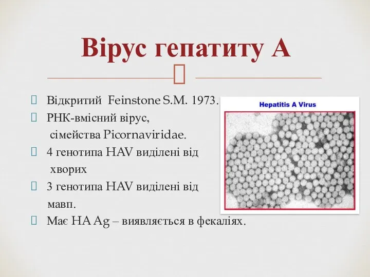 Вірус гепатиту А Відкритий Feinstone S.M. 1973. РНК-вмісний вірус, сімейства