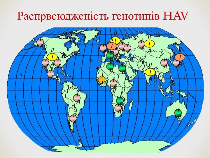 Распрвсюдженість генотипів HAV