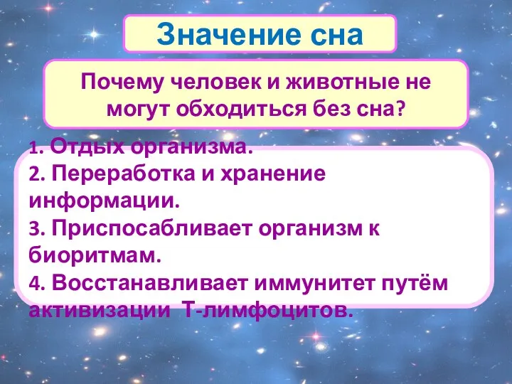 1. Отдых организма. 2. Переработка и хранение информации. 3. Приспосабливает