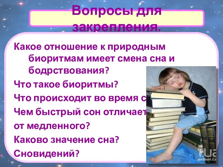 Вопросы для закрепления. Какое отношение к природным биоритмам имеет смена