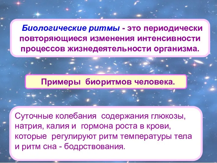 Биологические ритмы - это периодически повторяющиеся изменения интенсивности процессов жизнедеятельности