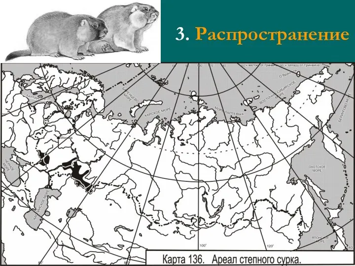 3. Распространение