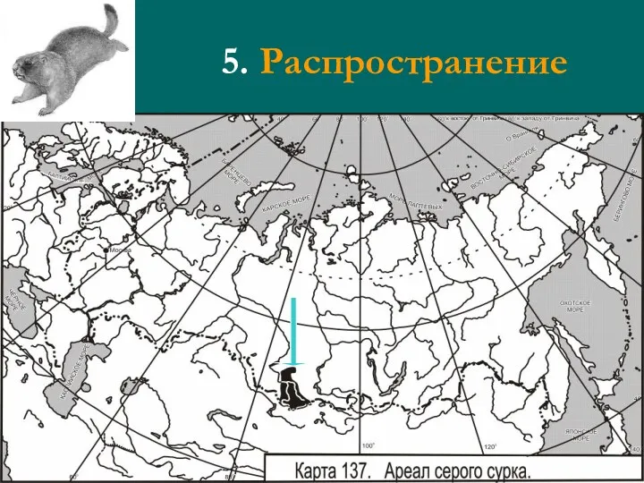 5. Распространение