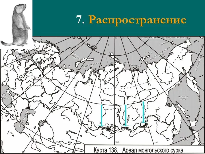 7. Распространение