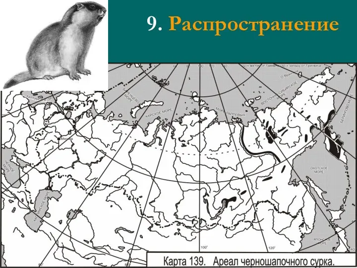 9. Распространение