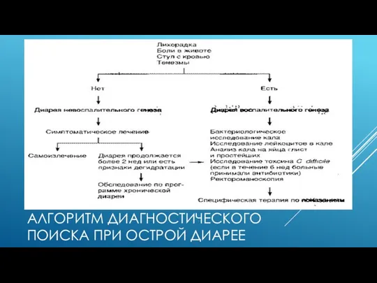 АЛГОРИТМ ДИАГНОСТИЧЕСКОГО ПОИСКА ПРИ ОСТРОЙ ДИАРЕЕ