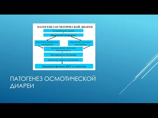 ПАТОГЕНЕЗ ОСМОТИЧЕСКОЙ ДИАРЕИ