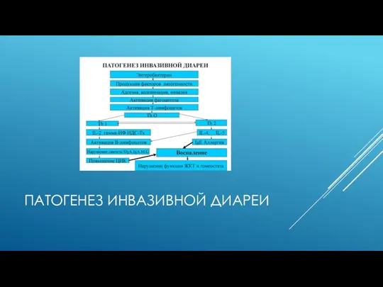 ПАТОГЕНЕЗ ИНВАЗИВНОЙ ДИАРЕИ