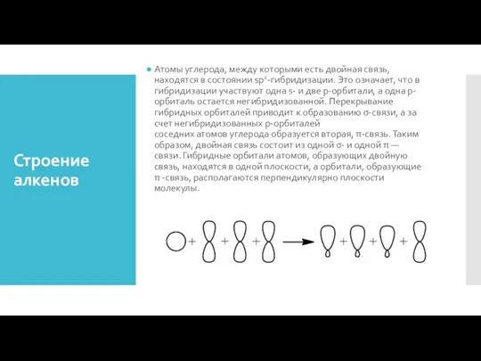 Строение алкенов Атомы углерода, между которыми есть двойная связь, находятся