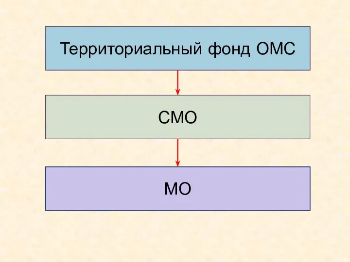 Территориальный фонд ОМС СМО МО