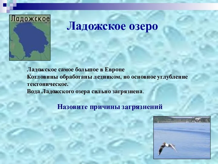 Ладожское озеро Ладожское самое большое в Европе Котловины обработаны ледником,