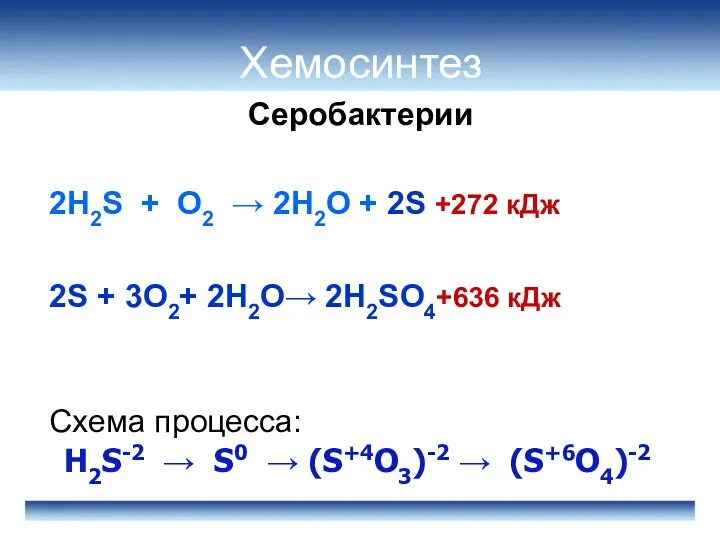 Серобактерии Хемосинтез 2H2S + O2 → 2H2O + 2S +272 кДж 2S +