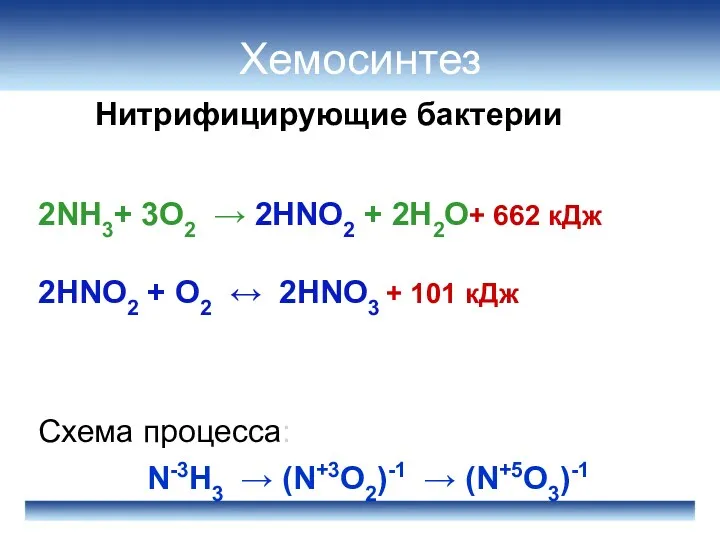 Нитрифицирующие бактерии Хемосинтез 2NH3+ 3O2 → 2HNO2 + 2H2O+ 662 кДж 2HNO2 +