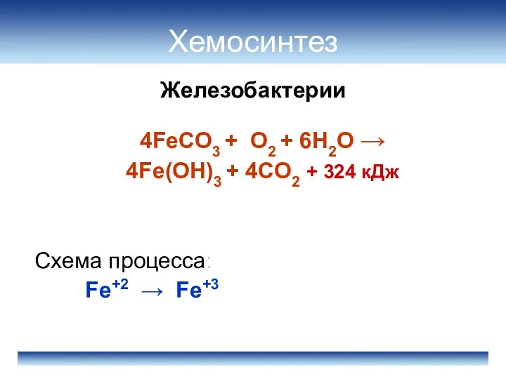 Железобактерии Хемосинтез 4FeCO3 + O2 + 6H2O → 4Fe(OН)3 + 4CO2 + 324
