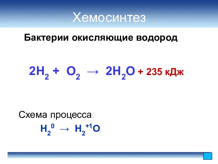 Бактерии окисляющие водород Хемосинтез 2H2 + O2 → 2H2O + 235 кДж Схема