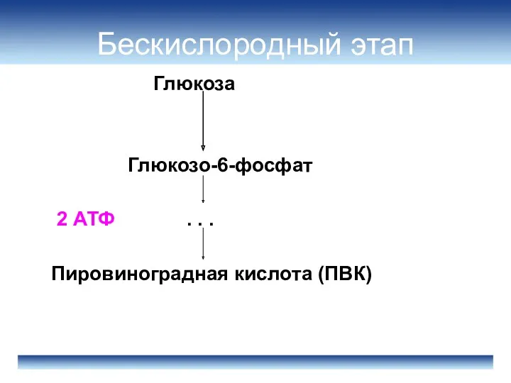 Бескислородный этап Глюкоза Глюкозо-6-фосфат 2 АТФ . . . Пировиноградная кислота (ПВК)