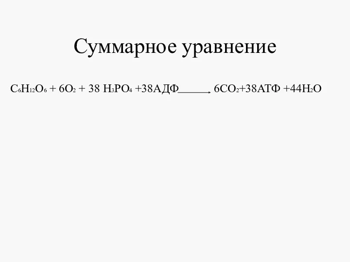 Суммарное уравнение С6Н12О6 + 6O2 + 38 Н3PO4 +38АДФ 6СО2+38АТФ +44Н2О