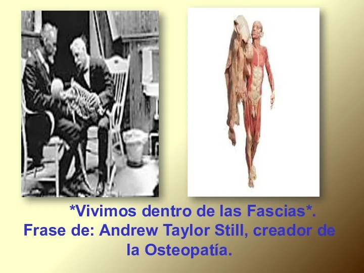 *Vivimos dentro de las Fascias*. Frase de: Andrew Taylor Still, creador de la Osteopatía.