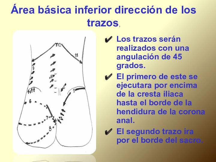 Área básica inferior dirección de los trazos, Los trazos serán