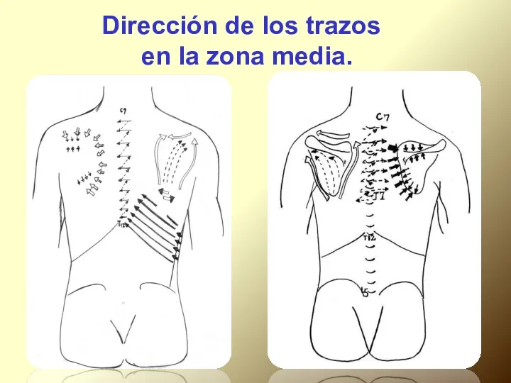 Dirección de los trazos en la zona media.